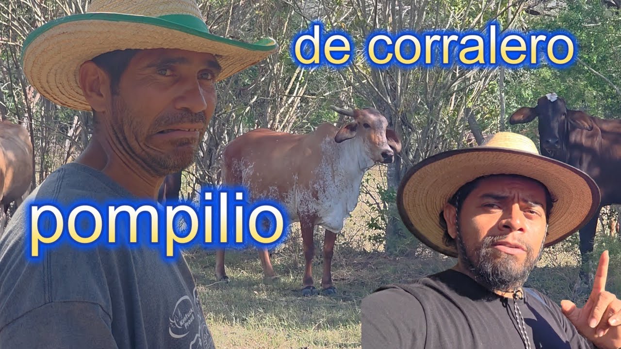 APRENDIENDO DE POMPILIO