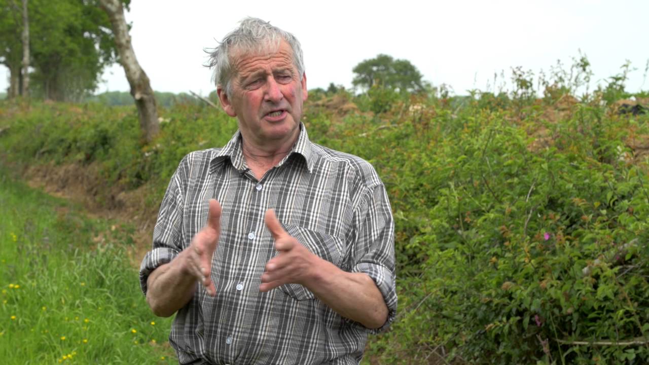 Natural Futures: Hedges and Hedgelaying