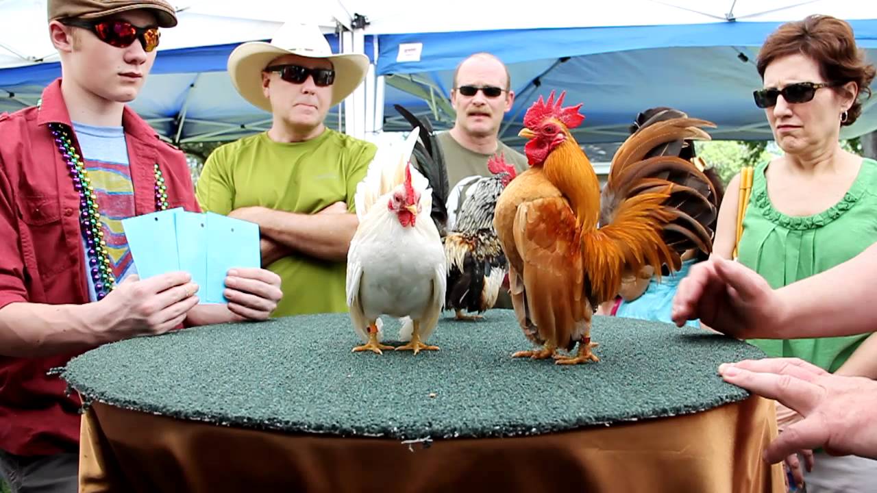 Serama Cajun Classic 2012 - MVI_0842.MOV