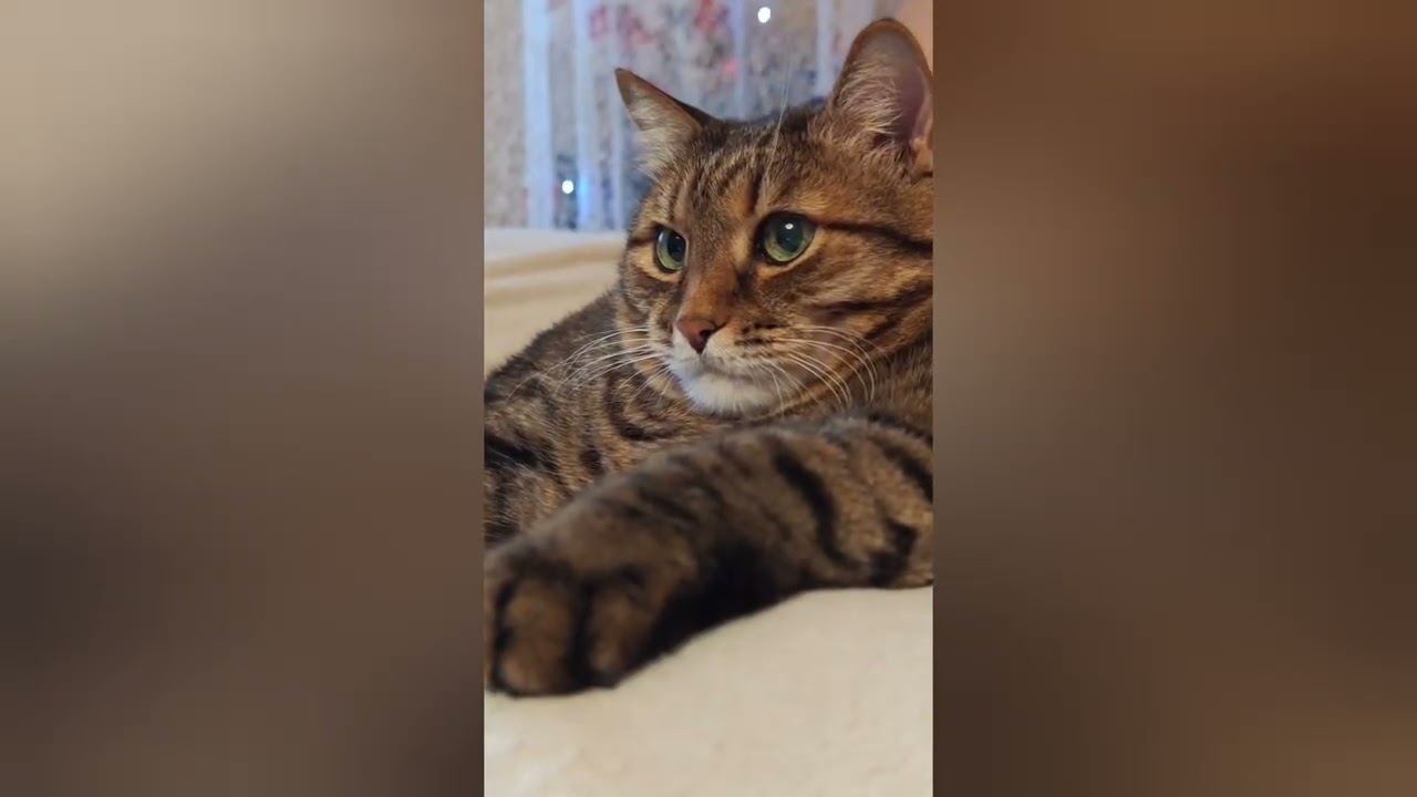 Про работу и женщин 👠💰🤔😹