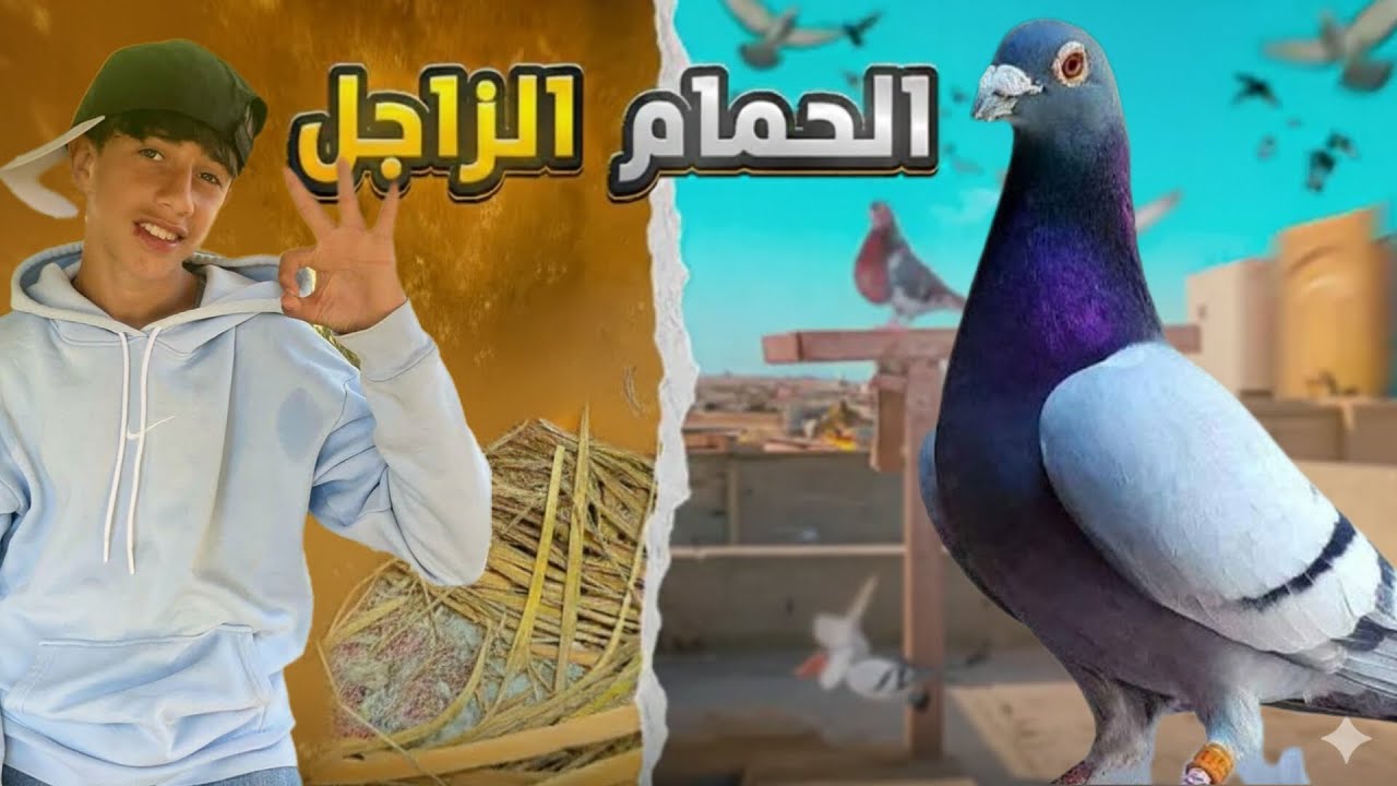  توليعة صباحية ♥توليعة في حمام زاجل 🕊ميمكنش شنو وقع راه ميمكنش 😱 شوفو على مفاجأة شحال هربانة اخوتي😍