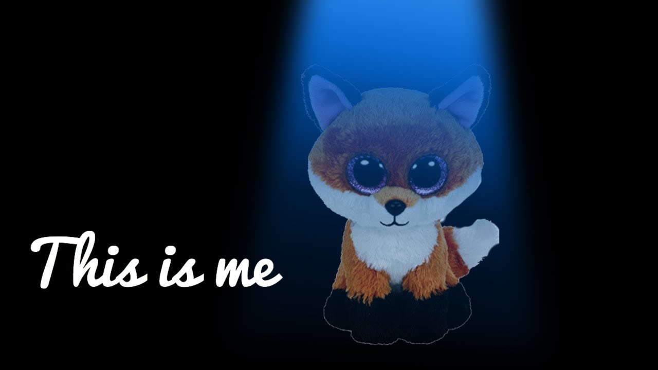 “This Is Me” Beanie Boo Music Video