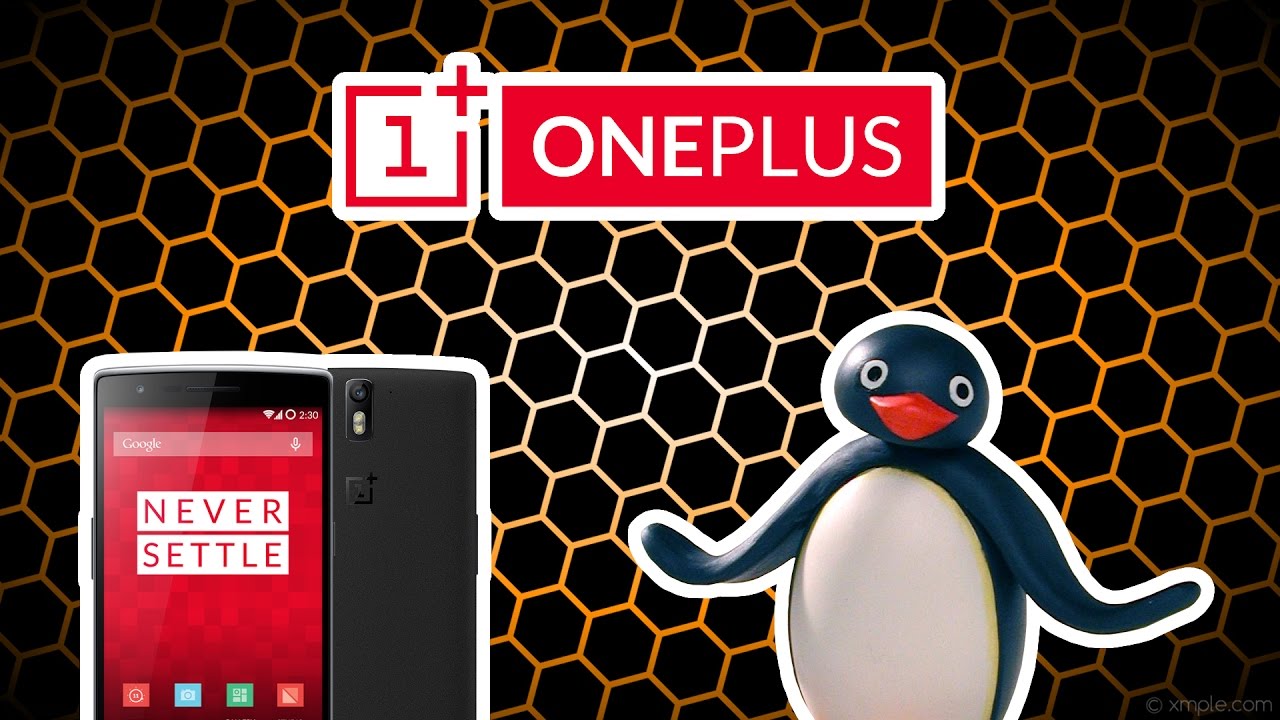 [ TUTO ] REMPLACEMENT &Eacute;CRAN ONEPLUS ONE