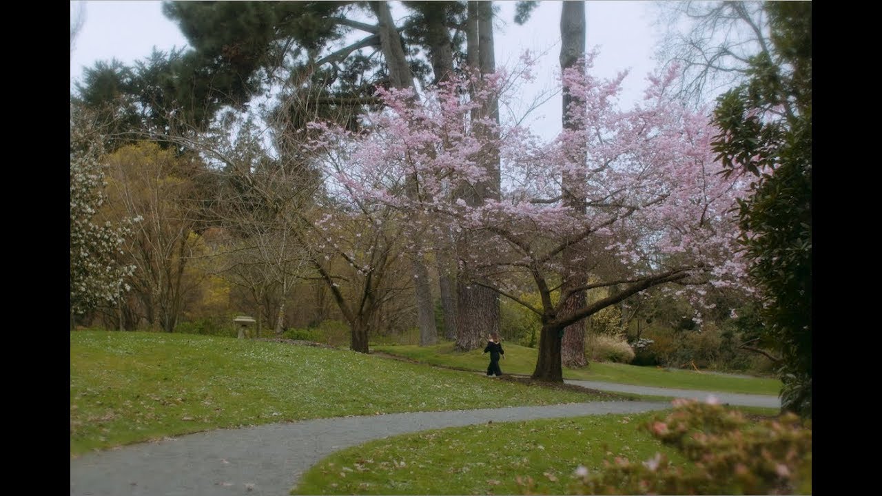 Yumi Zouma - December (Official Video)