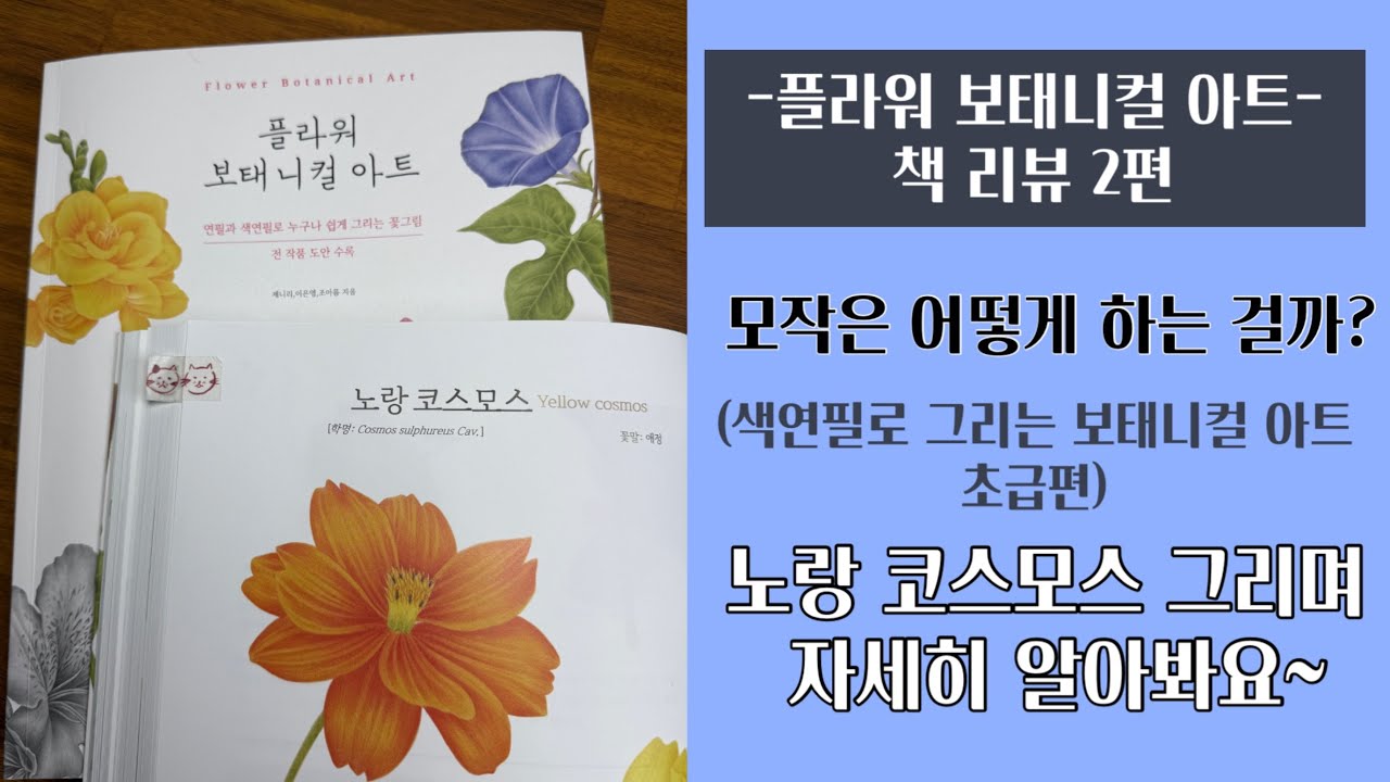 [색연필 보태니컬아트 라이브]책 모작하는 방법/노랑코스모스/플라워보태니컬아트 책 리뷰2편 초급편