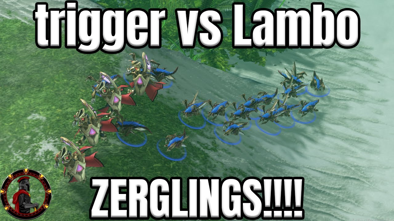 Lambo vs trigger - SC2 bo3 ZvP Lambo's Zergling Play