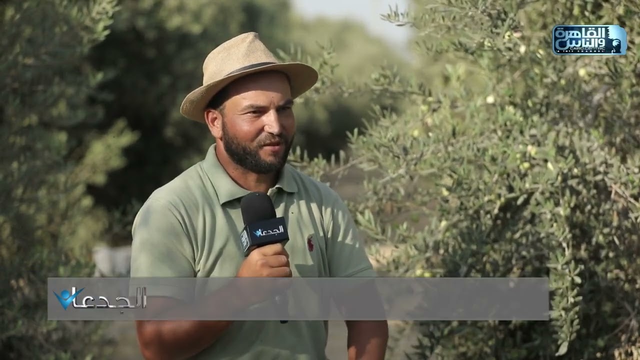 م.سامي سعد: يتخوف بعض المزارعين من أصناف الزيتون الزيتية لعدم قدراتهم على تسويقها بصورة جيدة