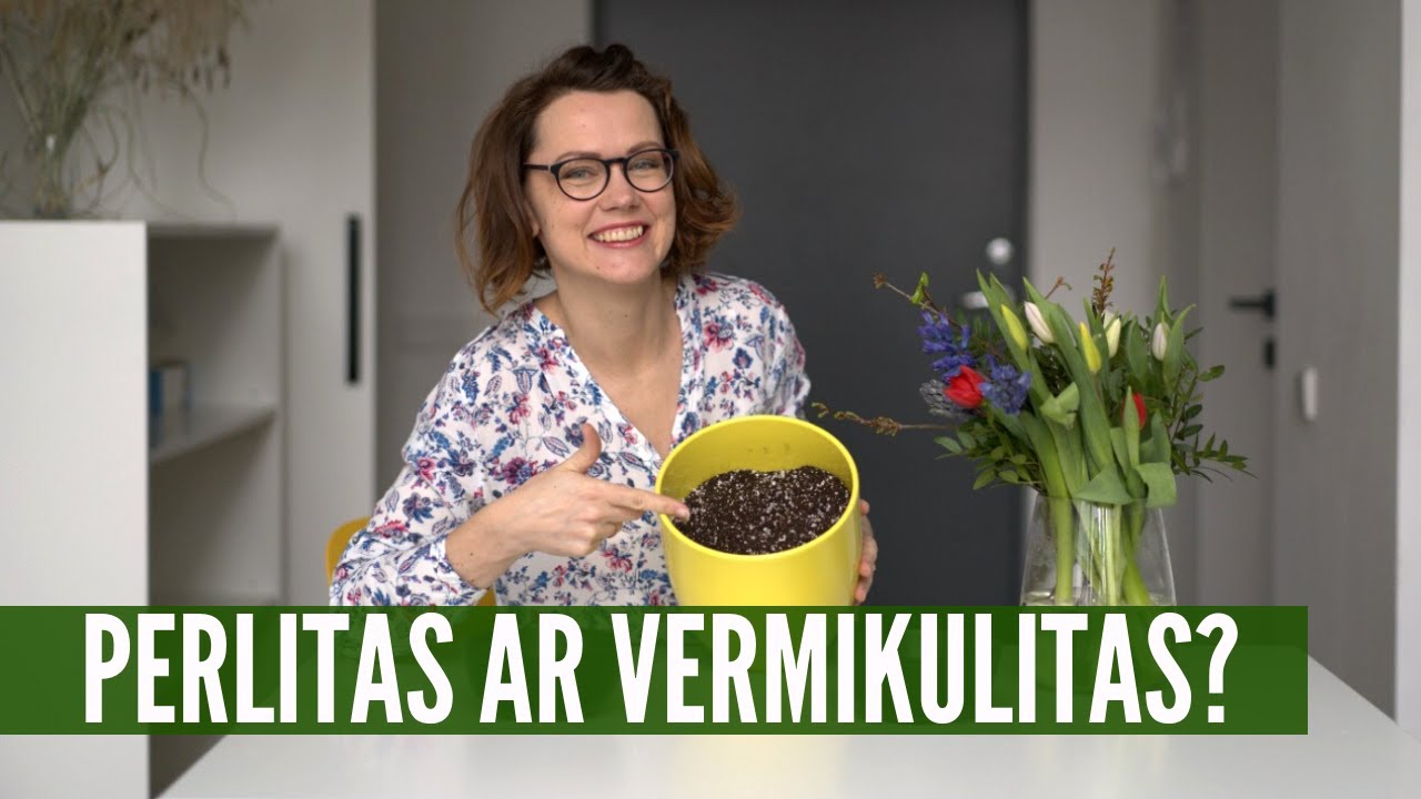 Agro perlitas ir vermikulitas: kuo jie skiriasi? Pagaliau išsiaiškinkim!