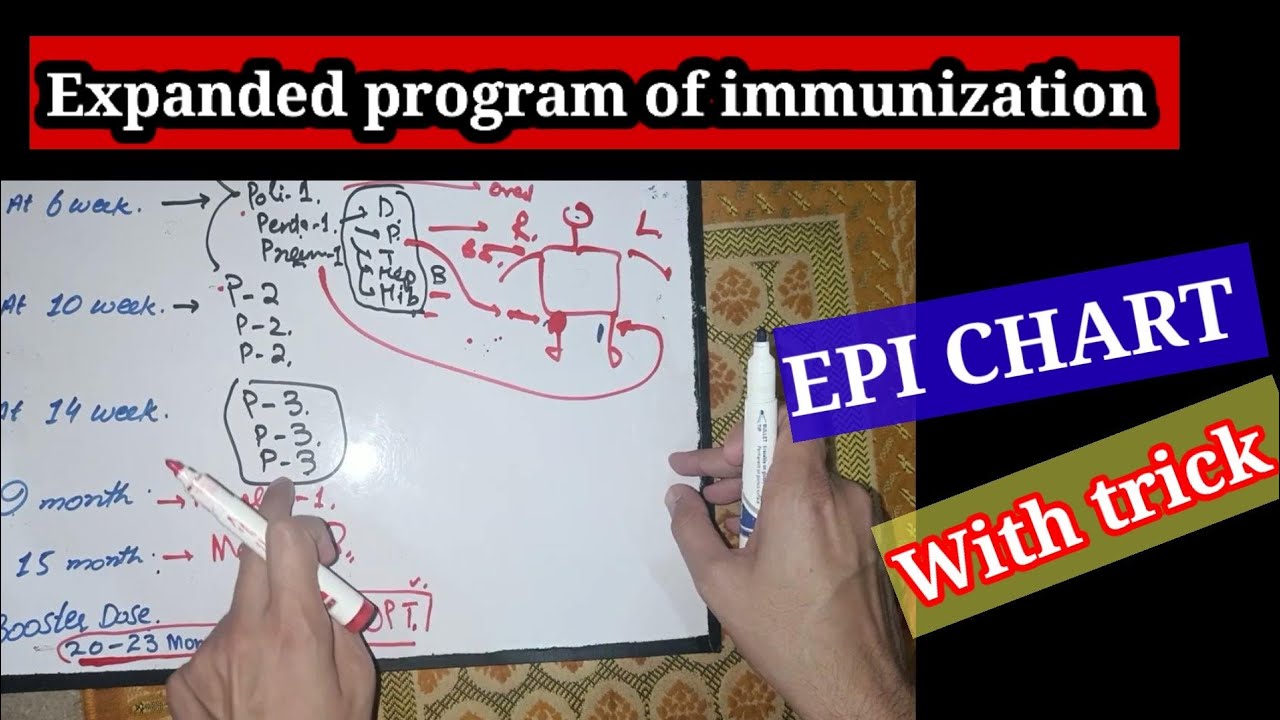 EPI CHART 📈 epi monitoring chart. expanded program of immunization. #EPI #IMMUNIZATION #immunity