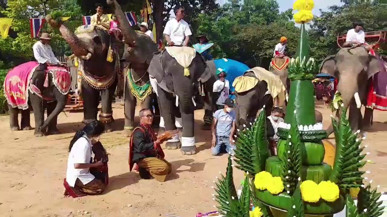 แห่กฐินที่วัดป่าอาเจียงค่ะ🙏🙏🐘