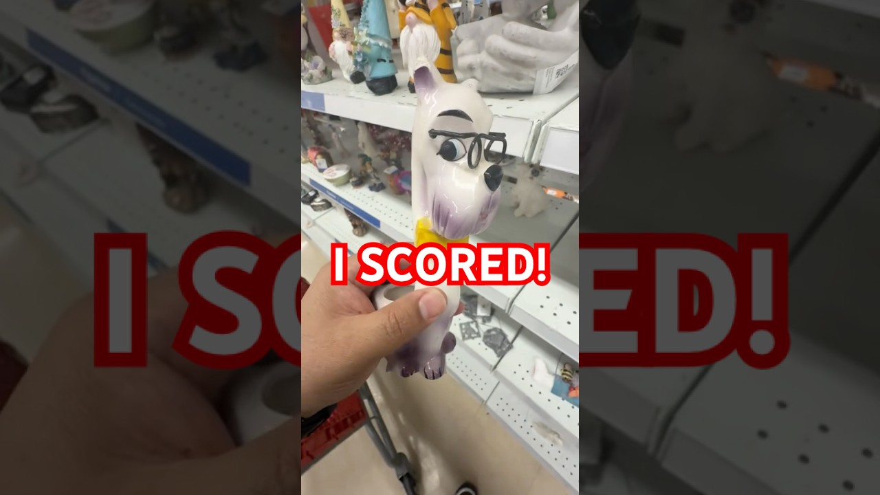 Thrifting Hidden Gems In Las Vegas
