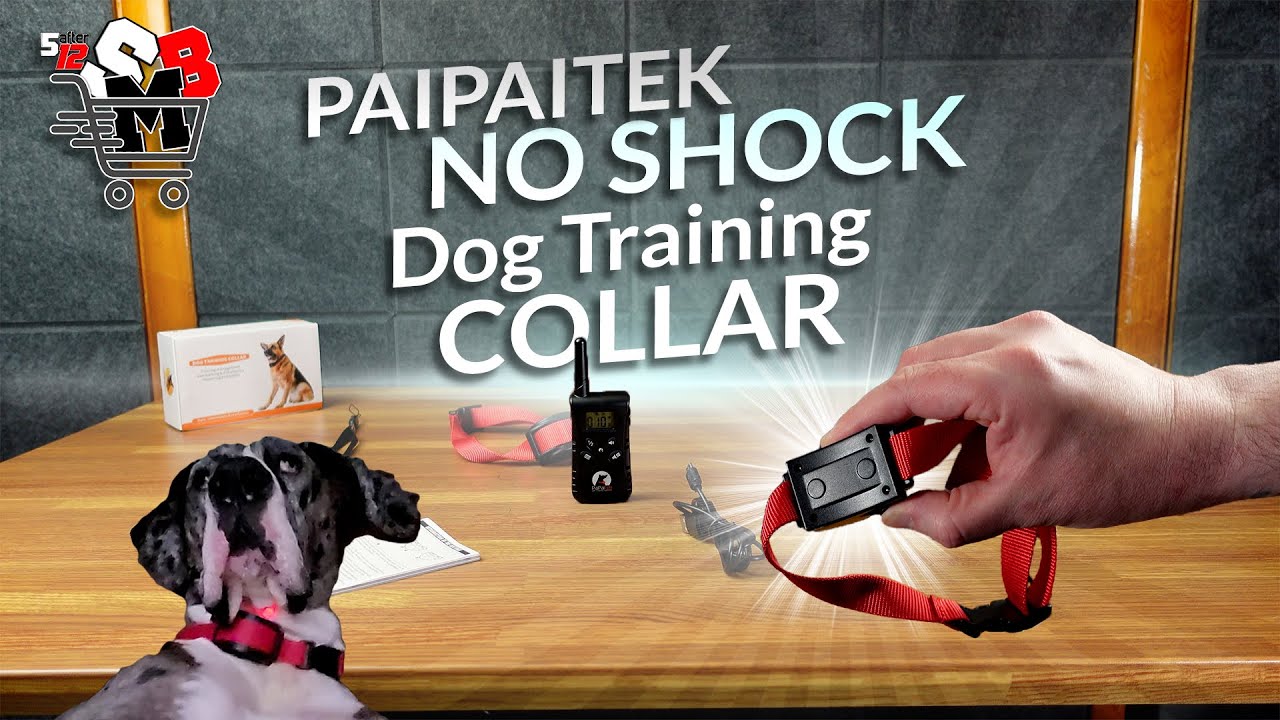 Paipaitek No Shock Dog Training Collar