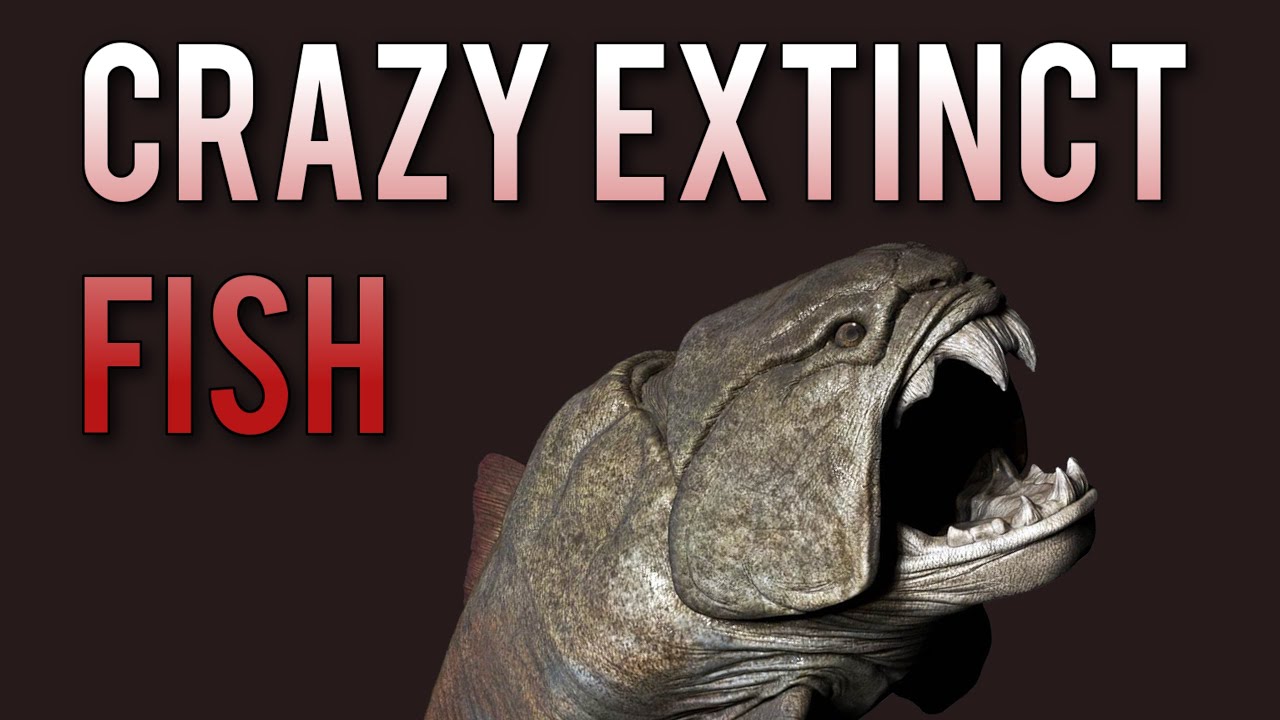 CRAZY EXTINCT FISH - Placoderms