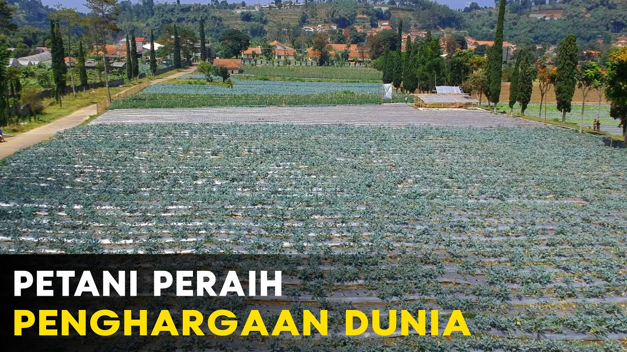 Petani Lulusan SD Raih Penghargaan Dunia