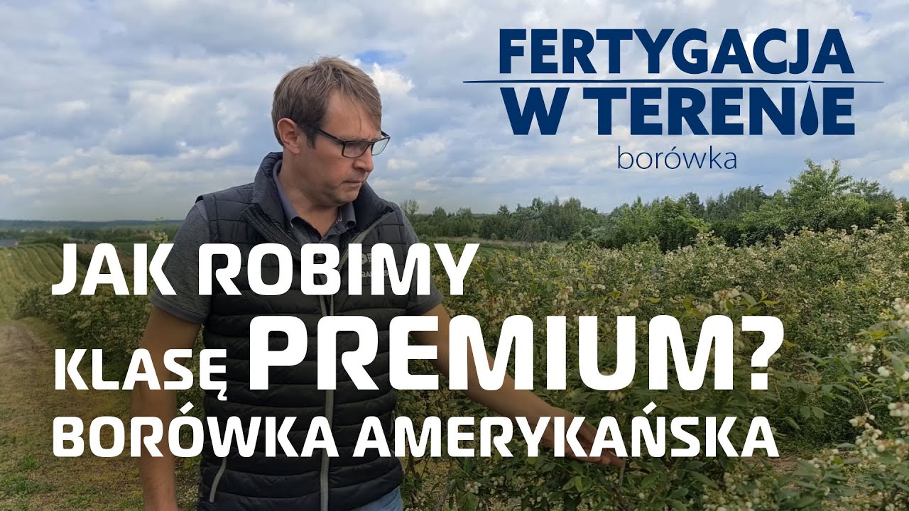 Jak robimy klasę premium? - borówka amerykańska, Marcin Gutkowski Fertygacja w terenie