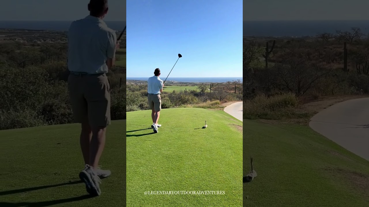AMAZING GOLF SWING  #golf #loa