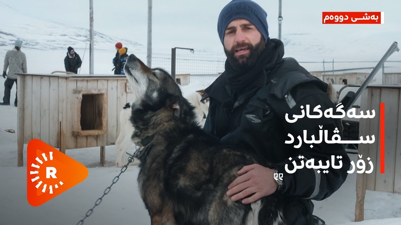 سەگەکانی سڤاڵبارد، بەرگەی سەرمایەکی زۆر دەگرن، زۆر بەهێزن و زۆریش خێران