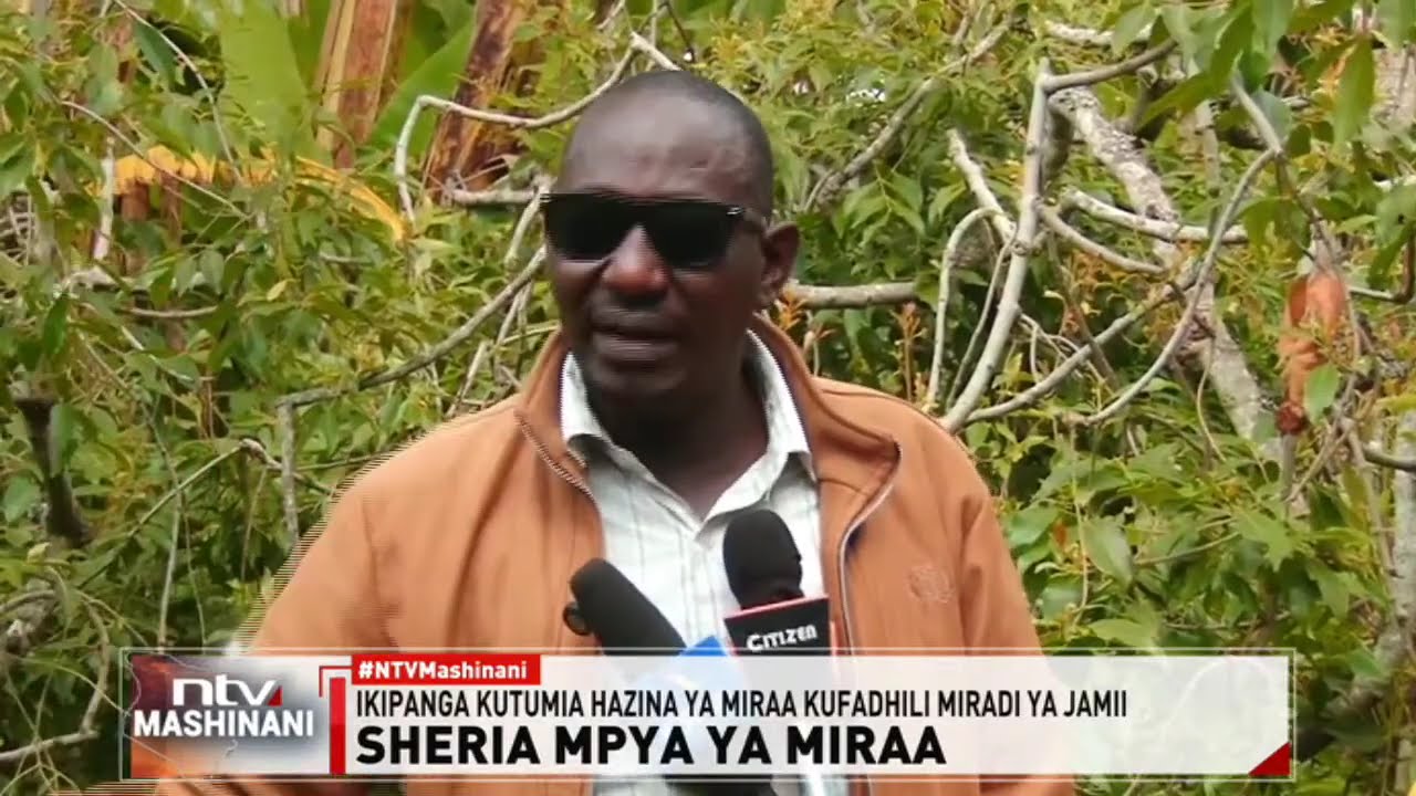 Kaunti ya Meru yaweka sheria mpya ya miraa kusaidia wakulima na miradi ya jamii
