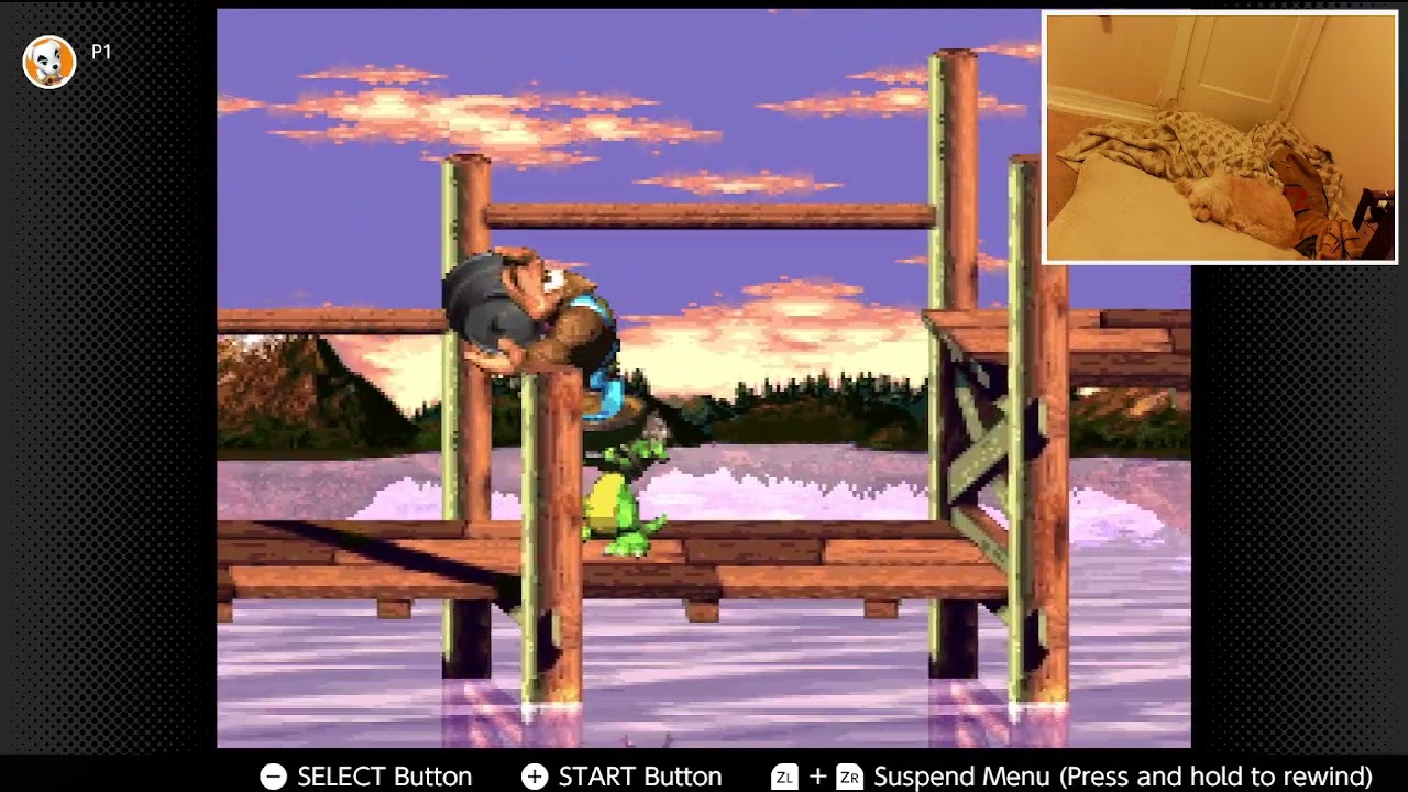 Donkey Kong Country 3: Part 1 - Lake Orangatanga To Cotton-Top Cove