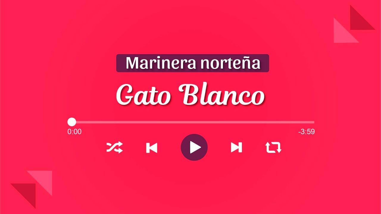GATO BLANCO | Marinera Norteña con Banda 🎺