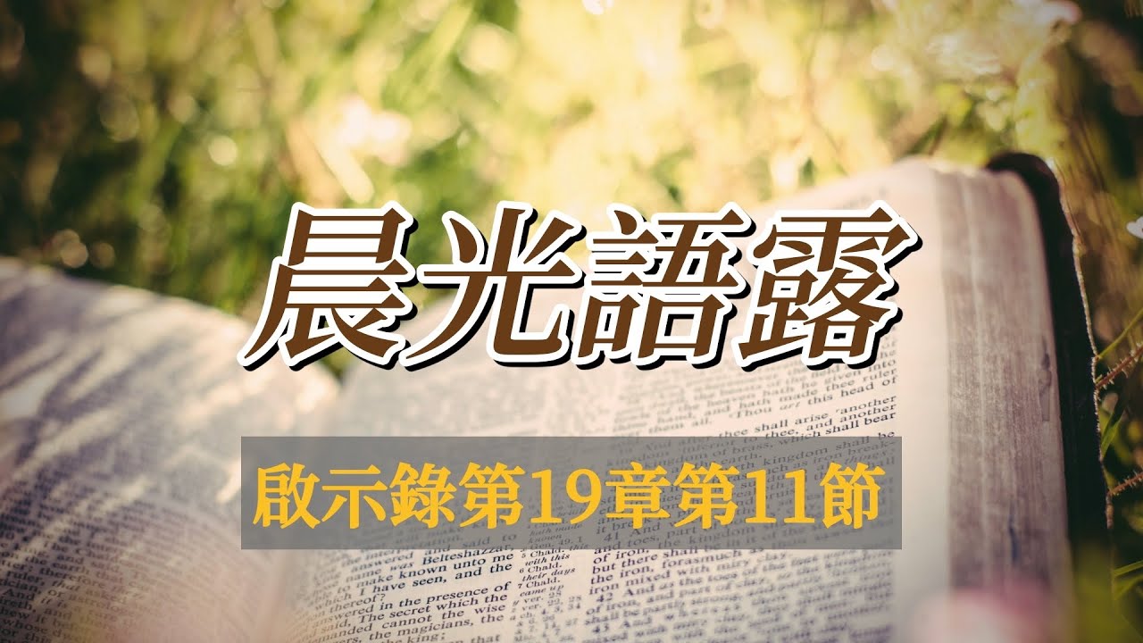 2026-02-21【晨光語露】《第2050集》