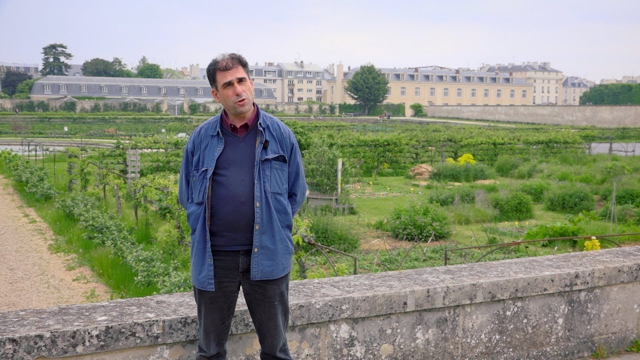 Interview Antoine Jacobsohn - Le Potager du Roi - Version Intégrale