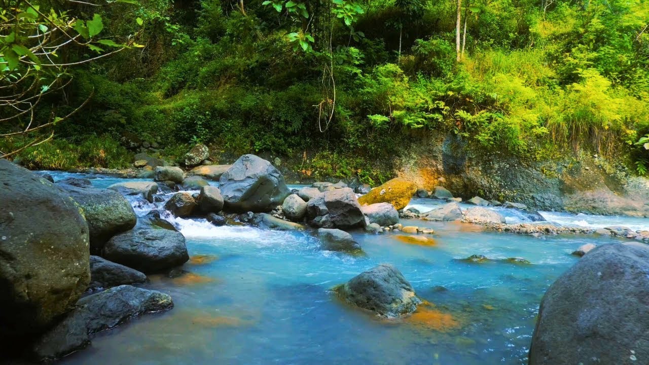 Forest River Sounds – Peaceful Flowing River & Calming Water Sounds for Deep Sleep