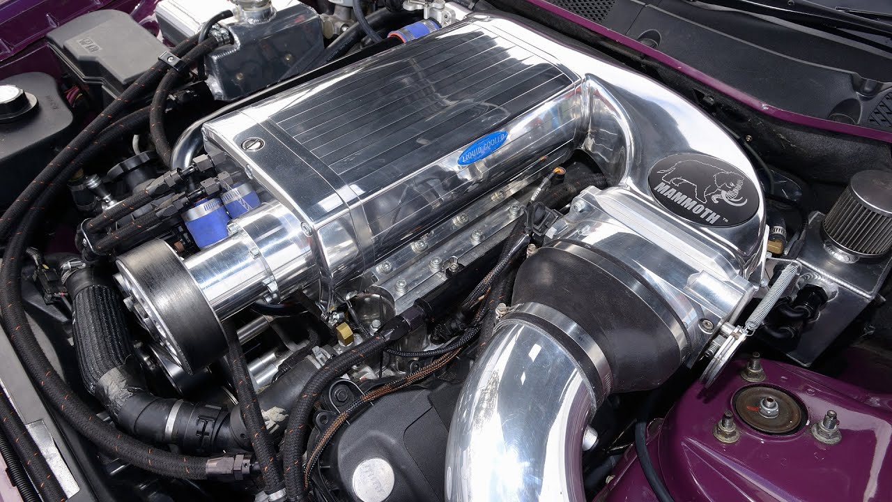 MAMMOTH blown Ford V8 Coyote Ute ~ MENACE
