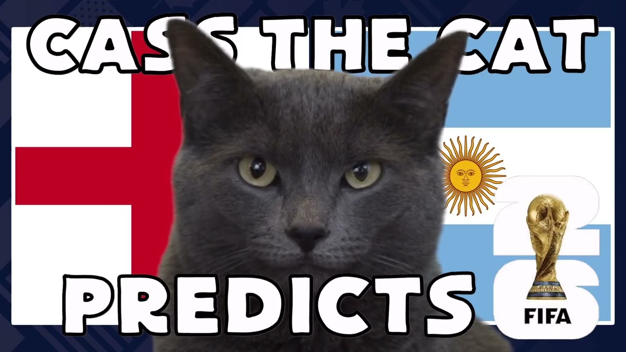 England vs Argentina | 2026 FIFA World Cup Semi Final | Cass the Cat 🐾 Prediction