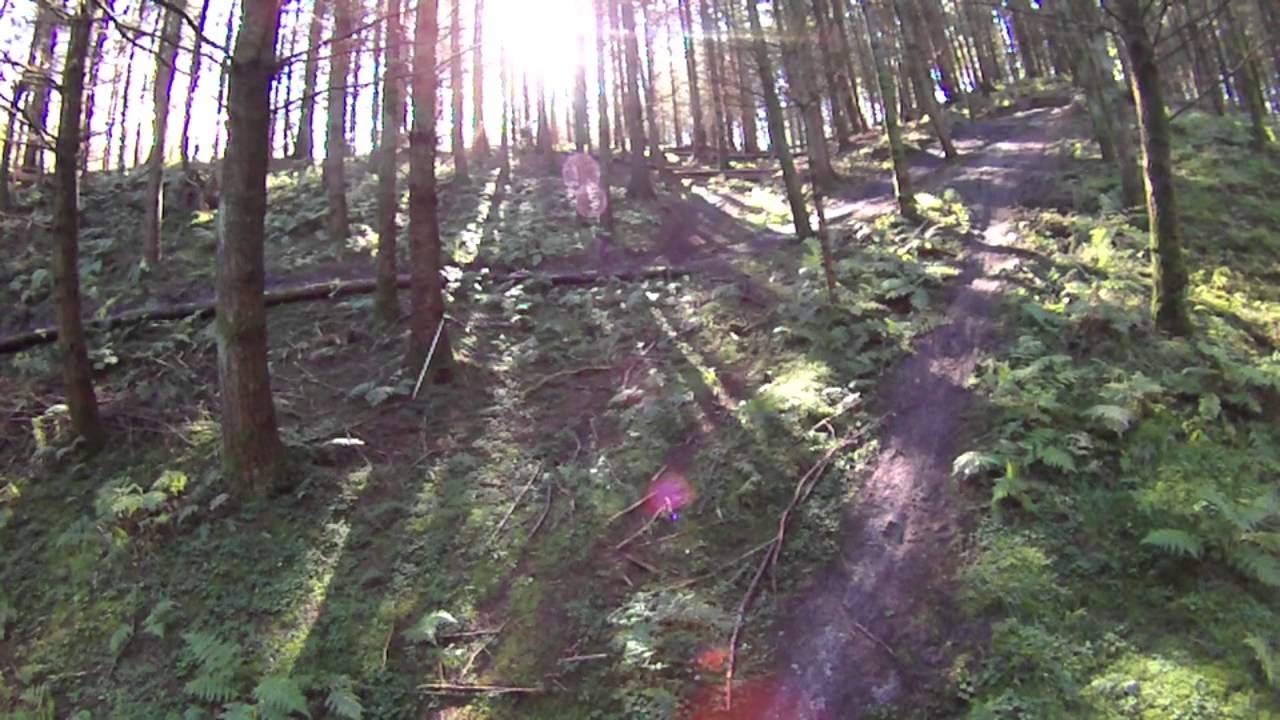 vorespuls.dk tester - MTB Rold Skov