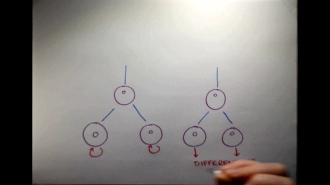 Inheritance of OCT4 Predetermines Fate Choice in Human Embryonic Stem Cells - a video abstract