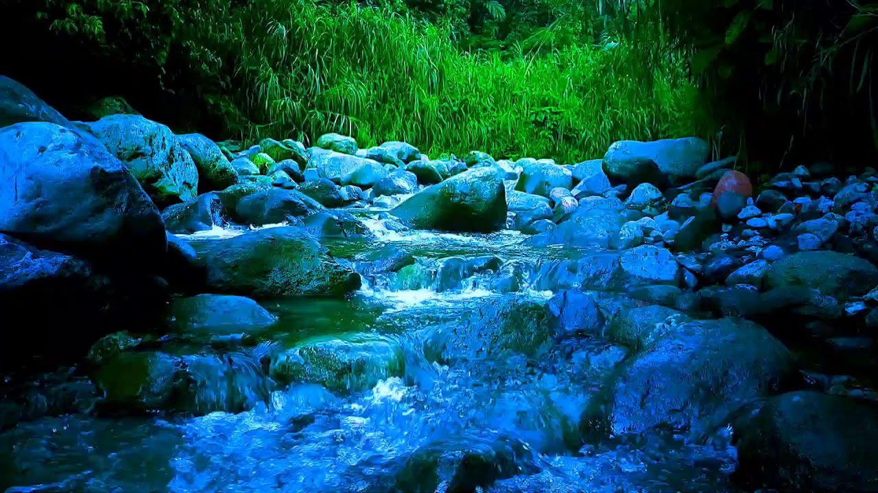 🌿 Gentle Forest River ASMR Sounds for Deep Sleep, Relaxation & Stress Relief