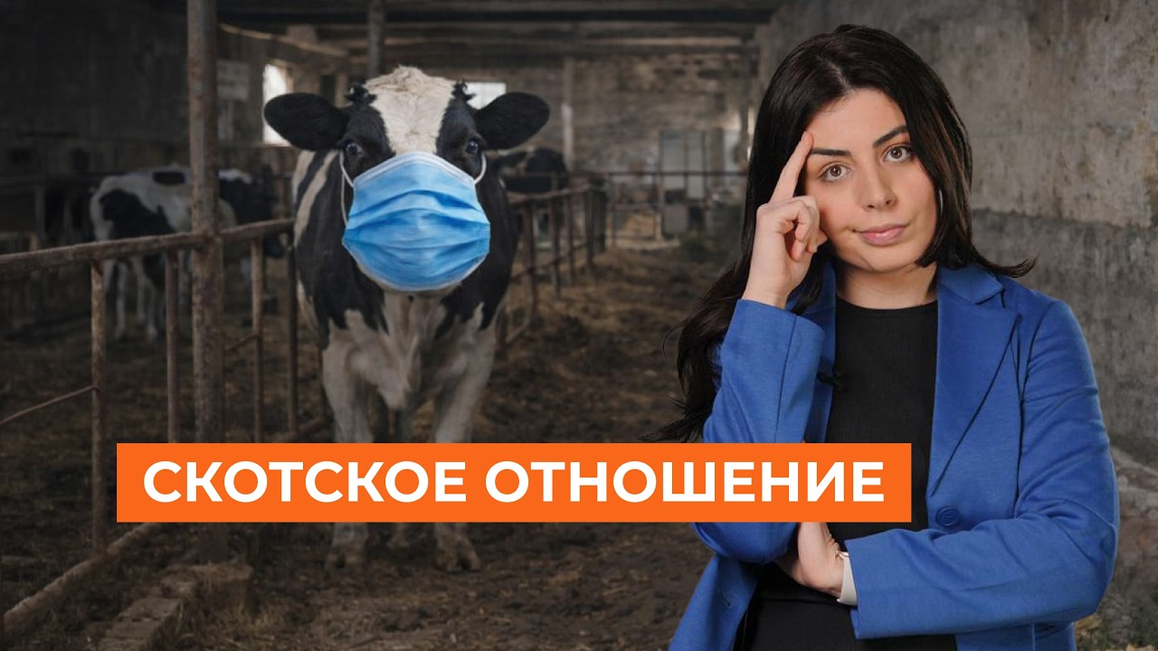 Скот в селах изымают с ОМОНом. Депутаты собирают компромат на своих. Таксофоны возвращаются. НОВОСТИ