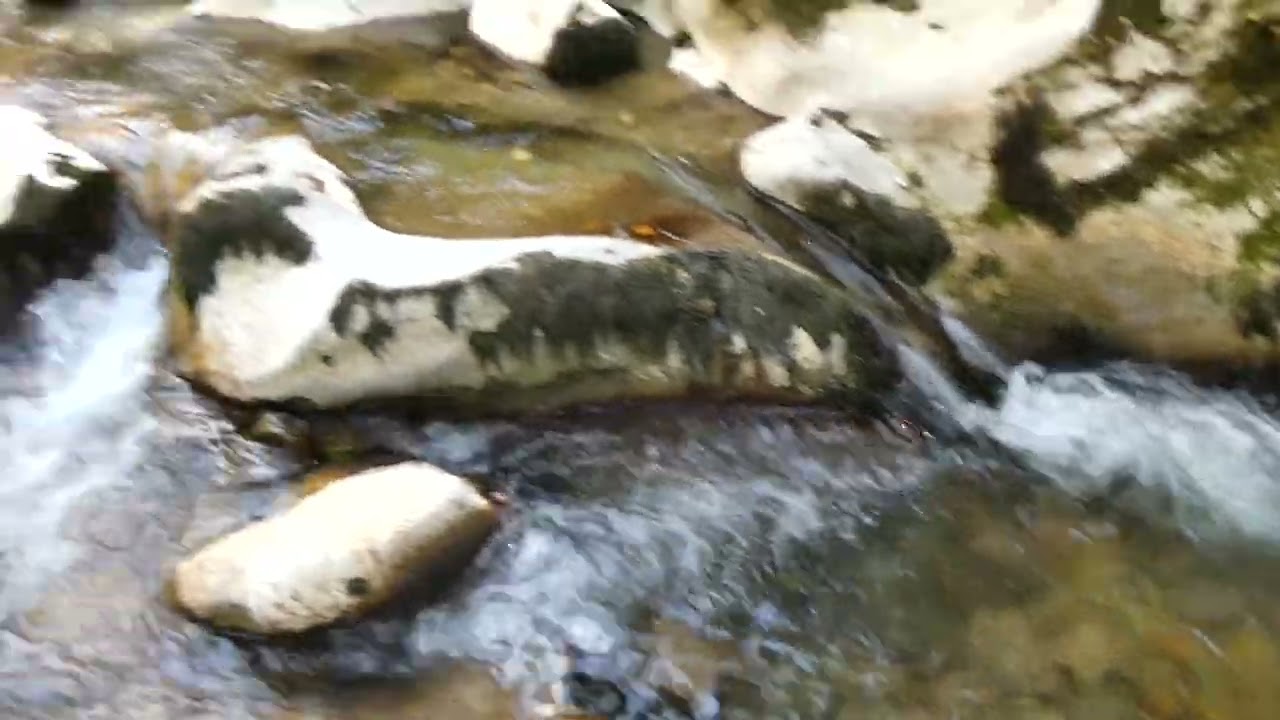 Le Guiers Mort, au Pont Saint-Bruno