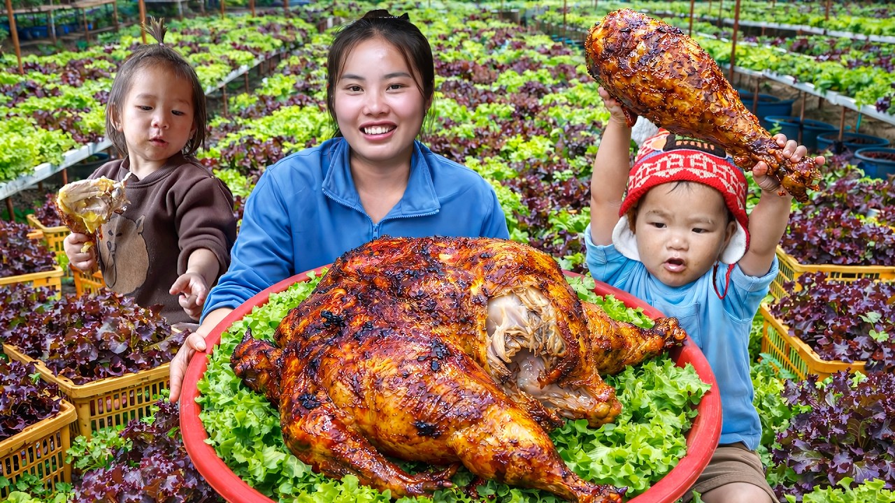 Harvesting 1400kg+ fresh lettuce from huge garden for sale, cooking grilled chicken for my kids