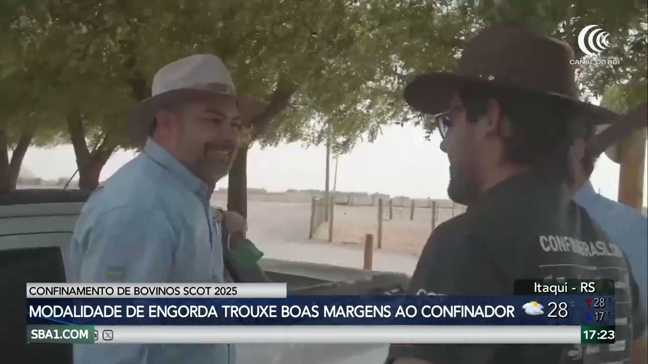 Exportações de gado vivo em alta e boi gordo com preço recorde