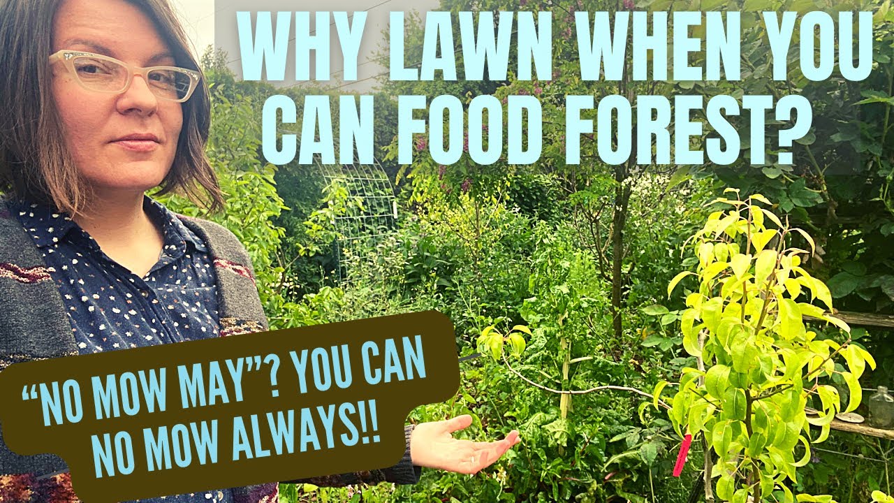 No Mow May? You Can No Mow Always!! Food Foresting in Small Spaces and Front Yards