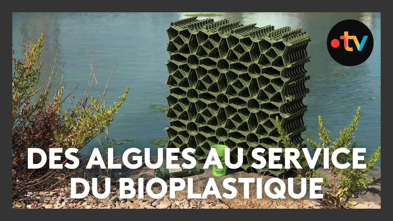 La start-up Eranova transforme les algues vertes en bioplastique