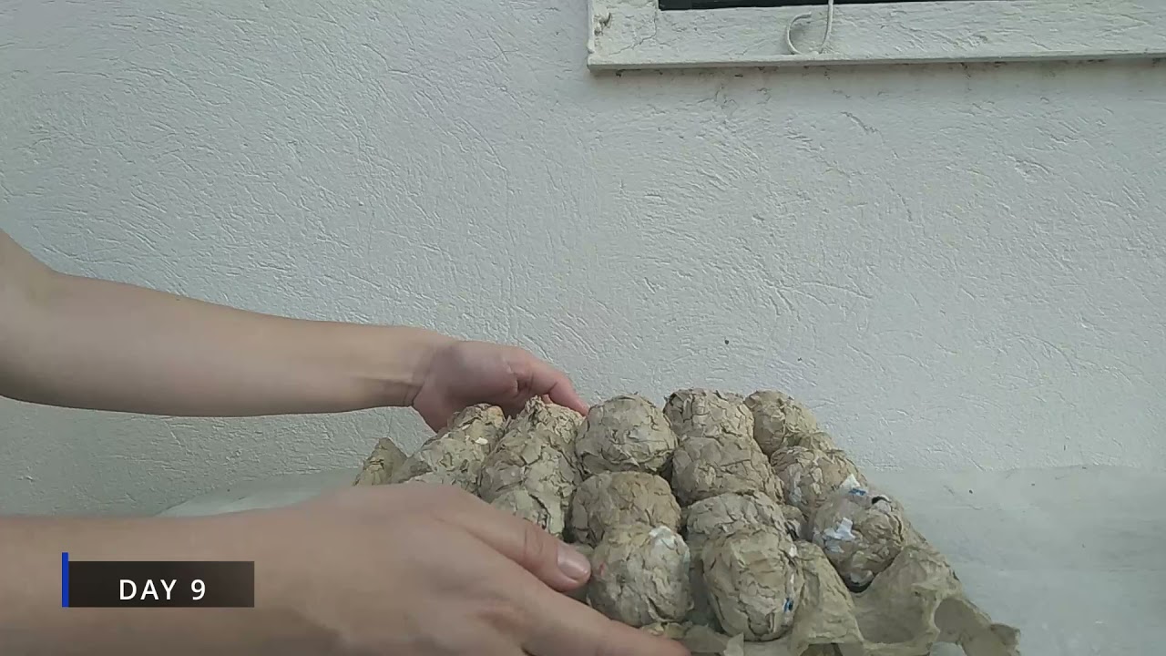 PAPER BRIQUETTES