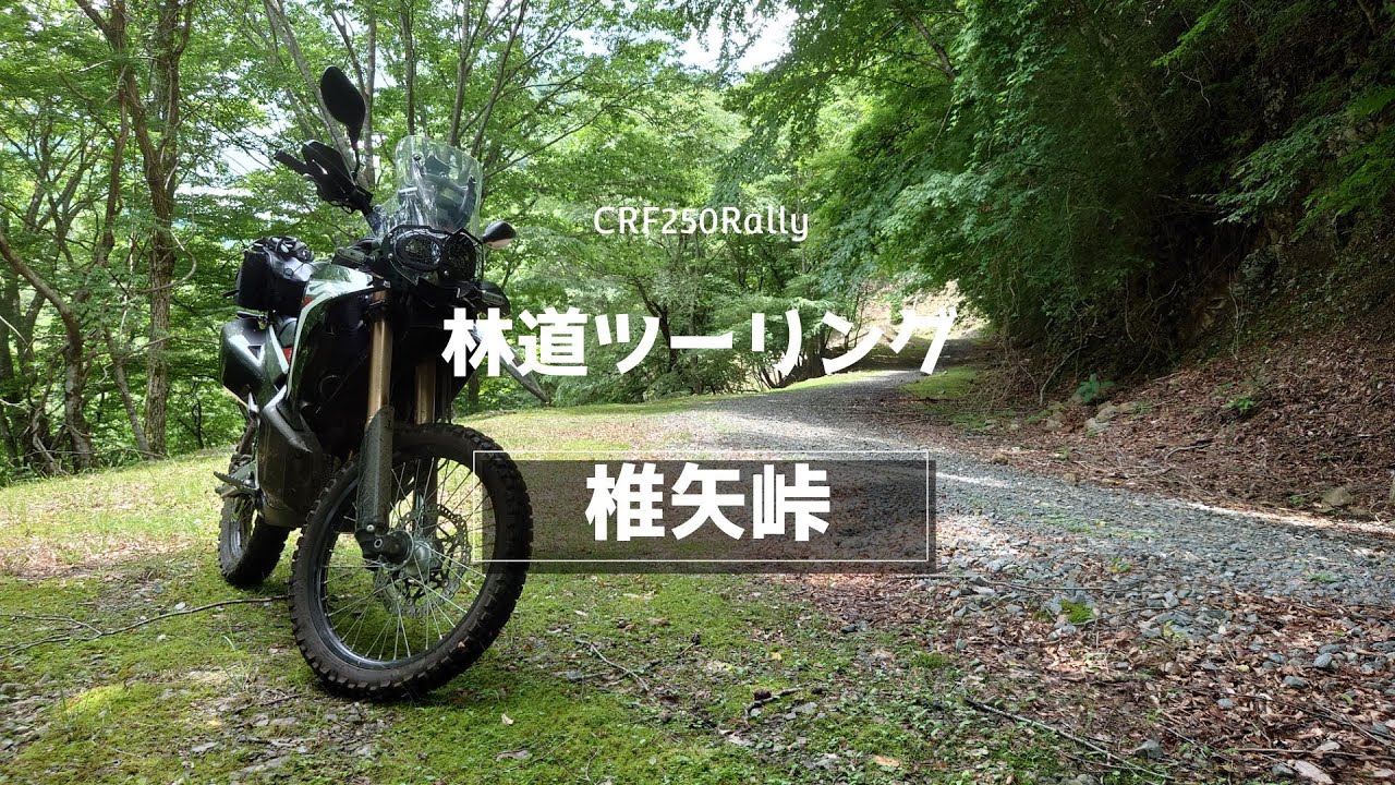 椎矢峠　林道ツーリング【CRF250Rally】