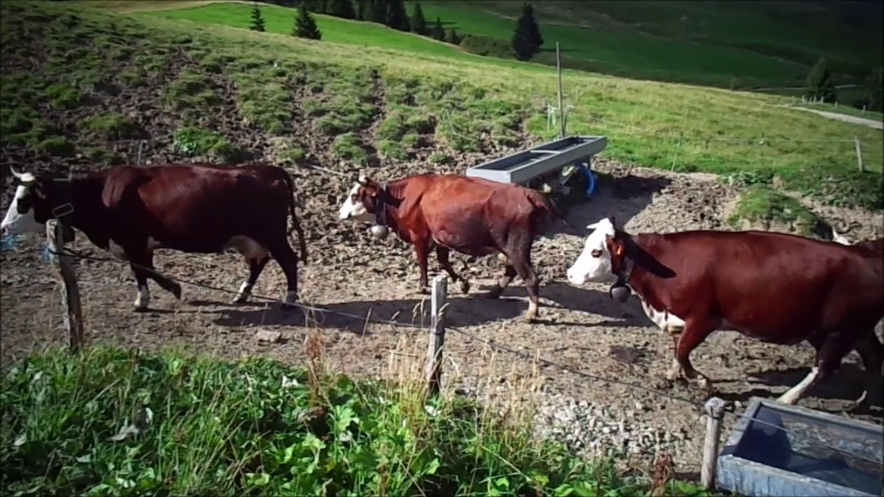 Ferme de Samance Haute Savoie