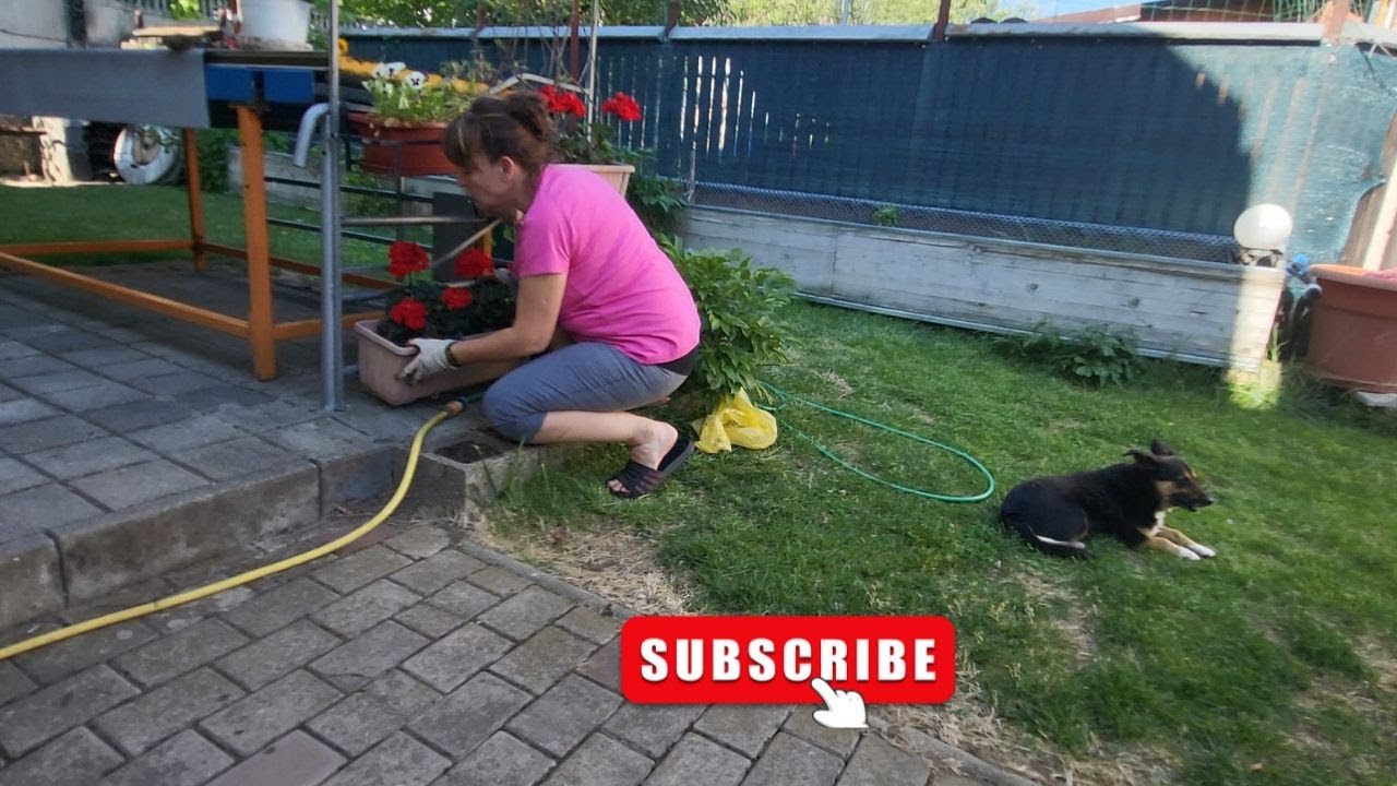 Ce FLORI au schimbat complet CURTEA mea?