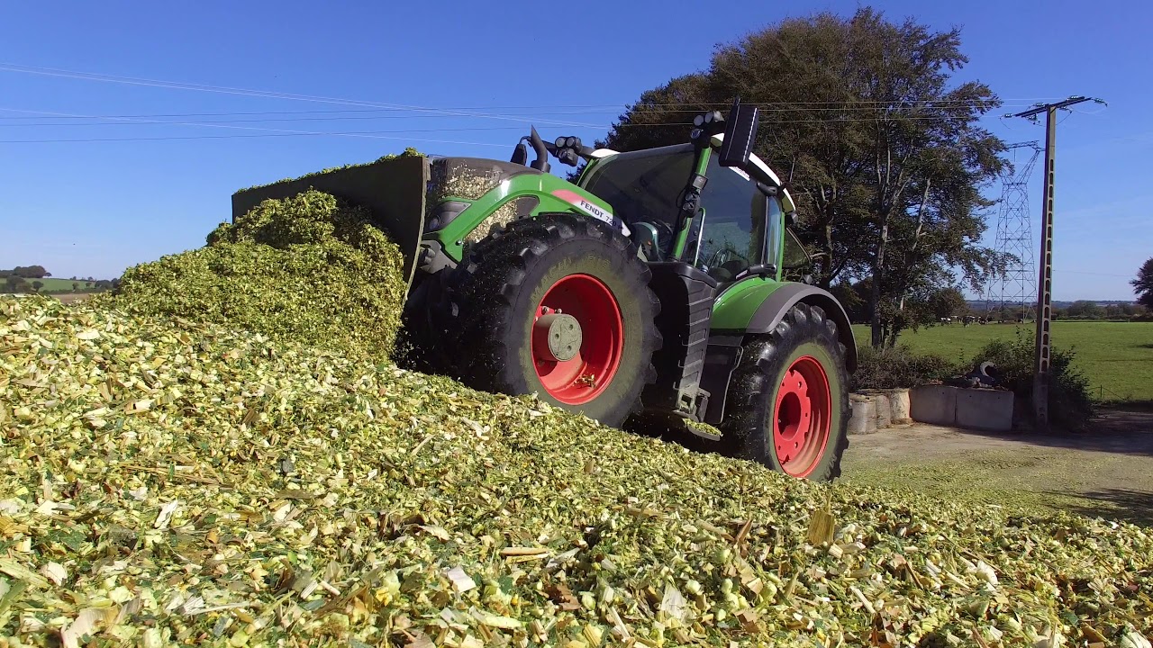 Ensilage de maïs en BRETAGNE / JOHN DEERE / FENDT