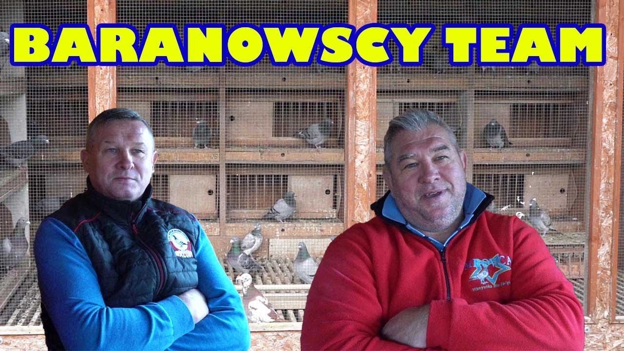 Baranowscy Team - 03 Łochów | Wielokrotni Mistrzowie Polski / Rozmowy o hodowli - metoda, karmienie!