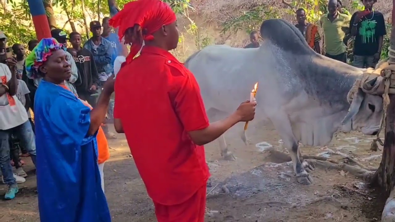 Manbo selavie kap fè koze avè ougan Douvah jèn ougan jèn pwen32850308..