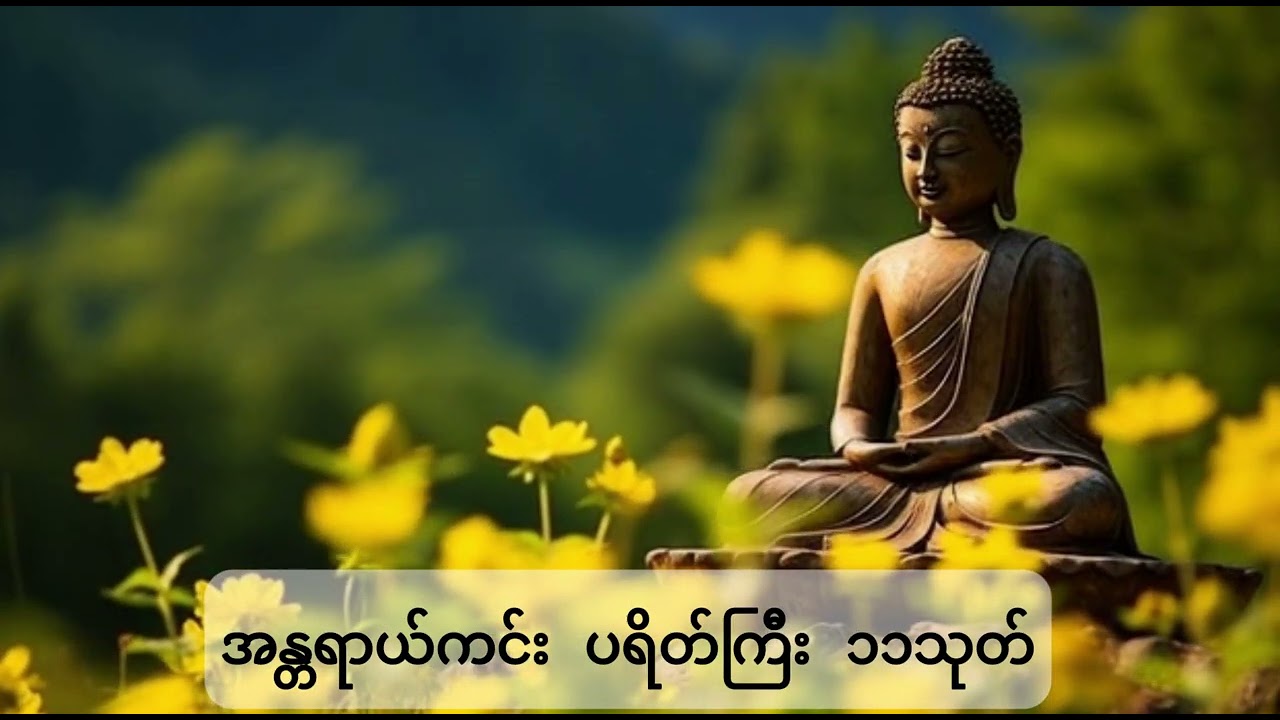အန္တရာယ်ကင်း ပရိတ်ကြီး ၁၁သုတ် | ရွှေလင်းယုန်ဆရာတော်ဘုရားကြီး