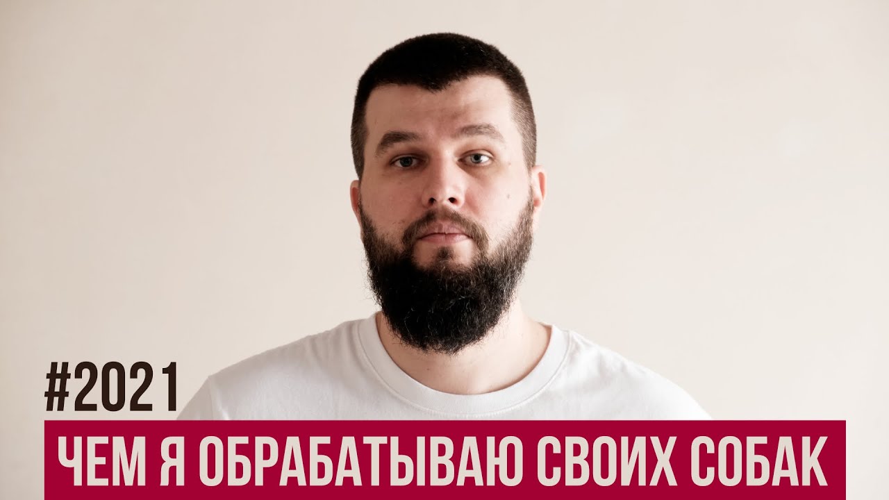 Чем я обрабатываю собак от клещей и глистов в 2021 году