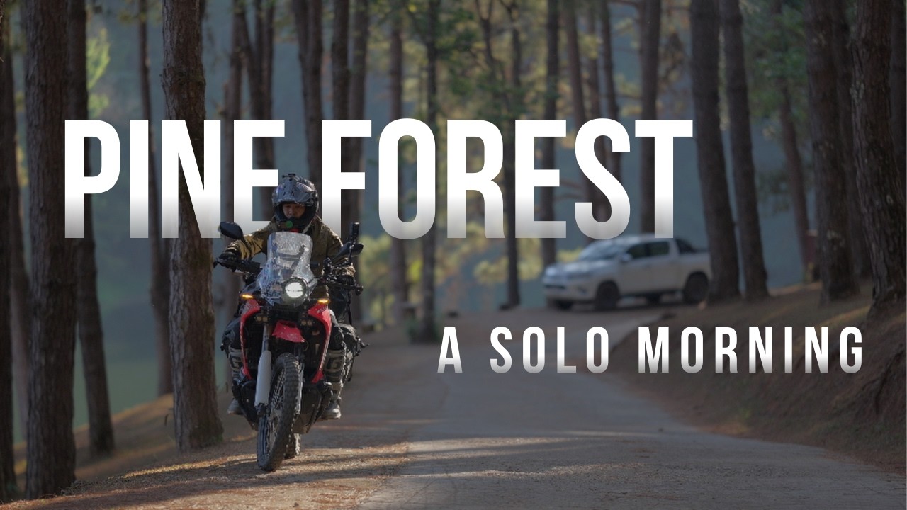Waking Up in a Pine Forest | The Quietest Morning in Thailand