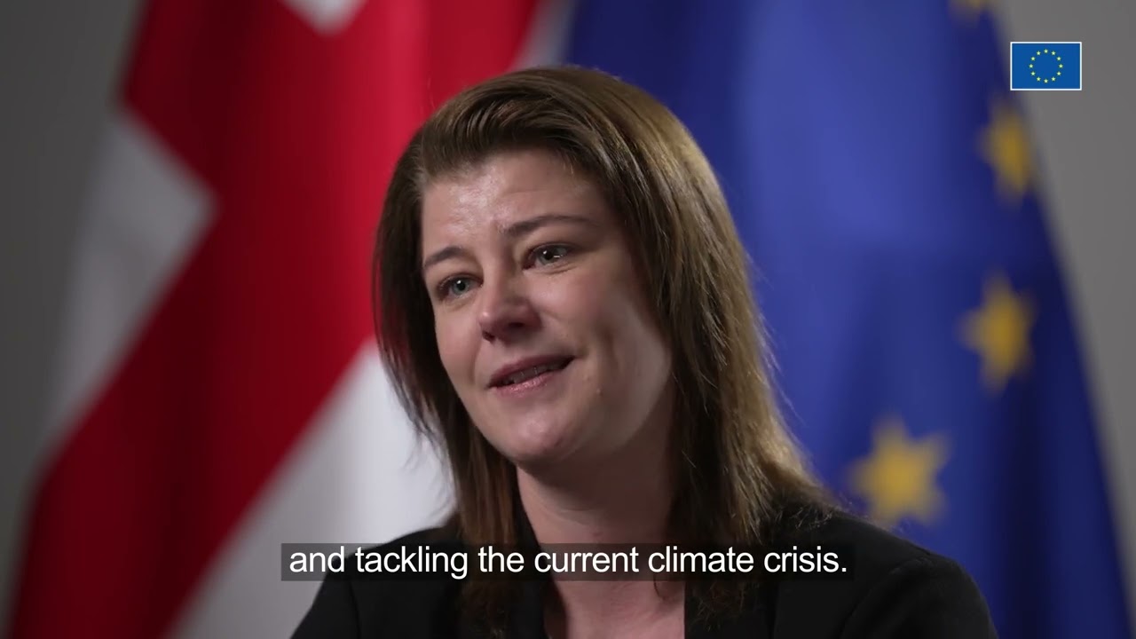 Anne Toft S&oslash;rensen Ambassador of Denmark about the EU Enlargement
