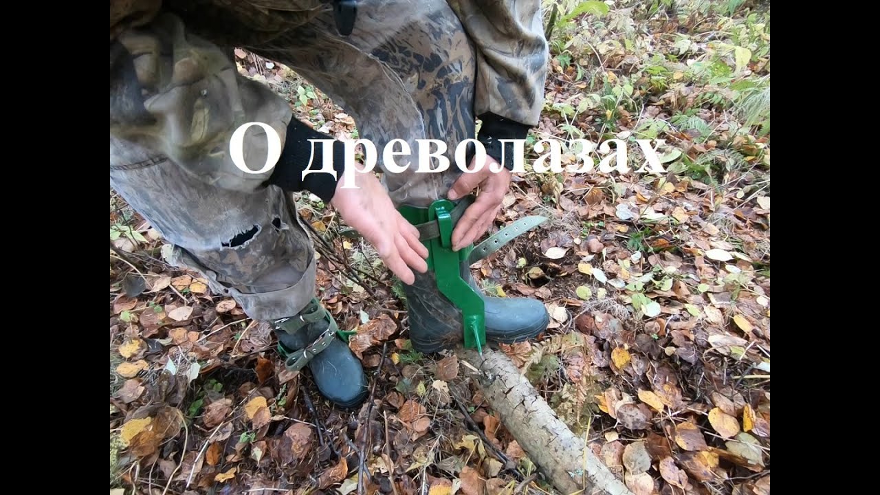 Немного о Гафах(Древолазах)